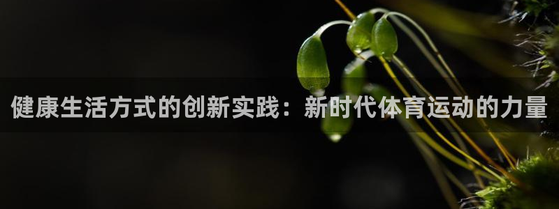 喜乐在线体育凯捷平台招商