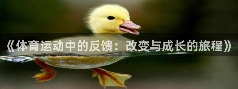 德国喜乐在线集团