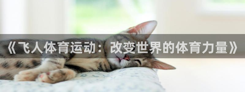 喜乐在线体育代理申请流程