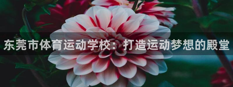 意昂官网