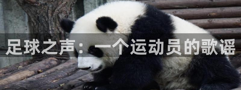 喜乐在线体育论坛