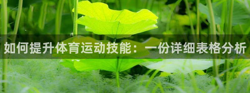 意昂集团股票