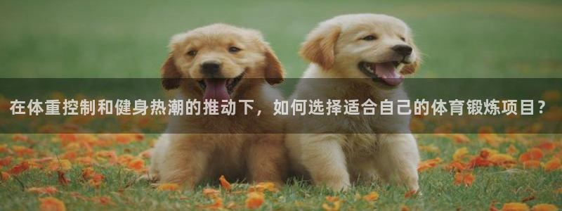 喜乐在线凯捷平台注册链接