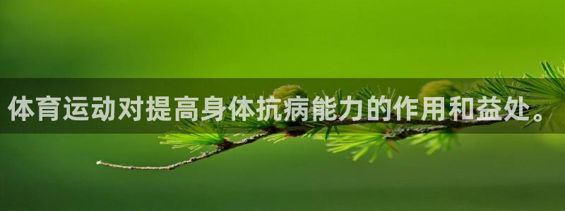 意昂的动画