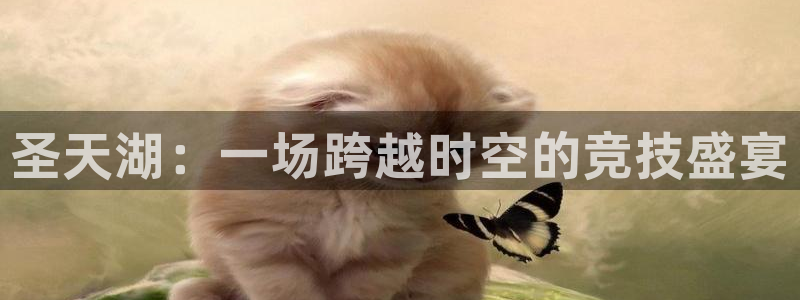意昂总代
