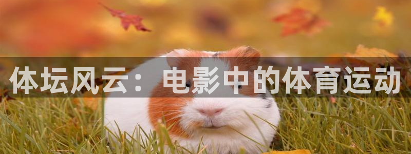 喜乐在线f凯捷平台在线注册