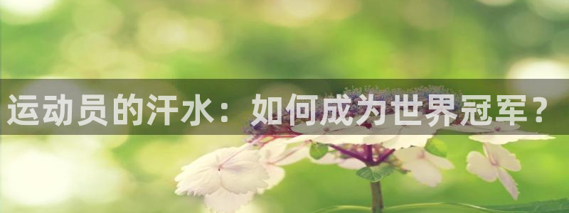 喜乐在线注册