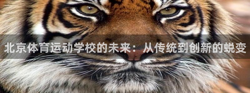 喜乐在线体育2