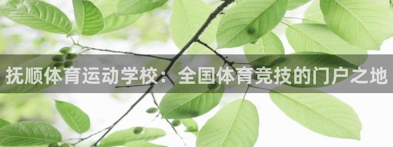 喜乐在线体育注册